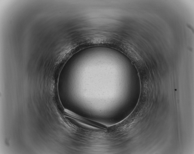 X0000097510592200802291620