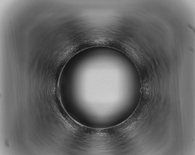 X0000097510593200802291620