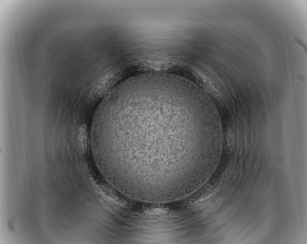 X0000097510594200802291620