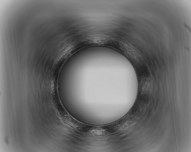 X0000097510595200802291620