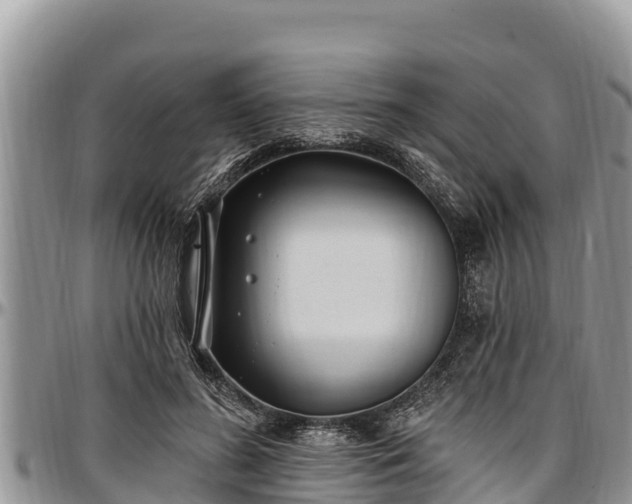 X0000097510596200802291620