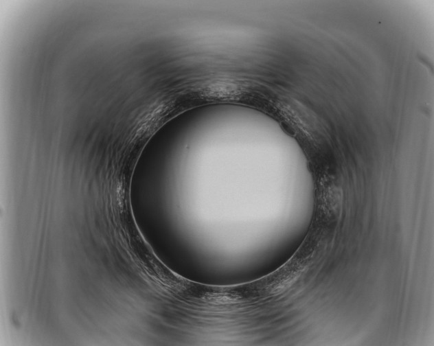 X0000097510597200802291620