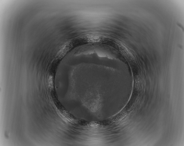 X0000097510598200802291620