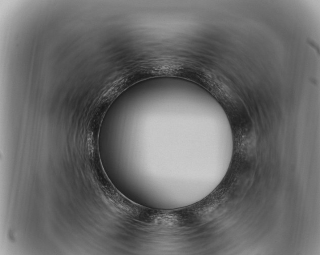 X0000097510599200802291620