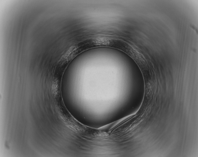 X0000097510600200802291620