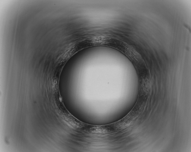 X0000097510601200802291620