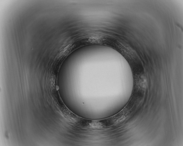 X0000097510603200802291620