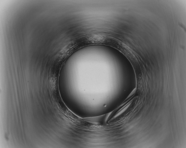 X0000097510604200802291620