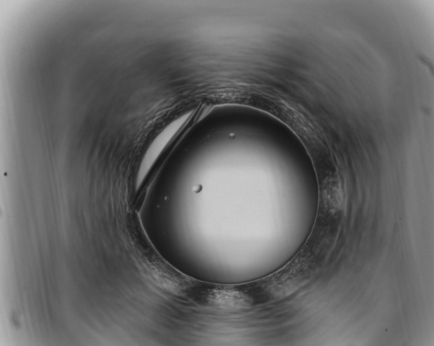 X0000097510605200802291620