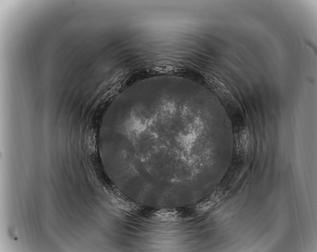 X0000097510606200802291620