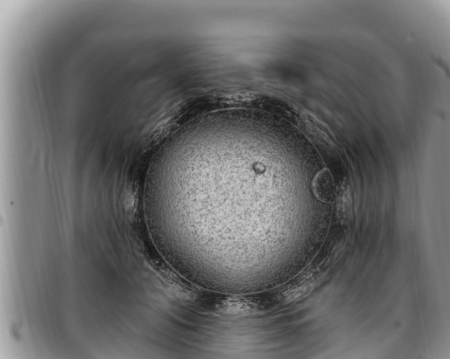 X0000097510608200802291620