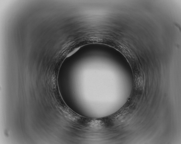 X0000097510609200802291620