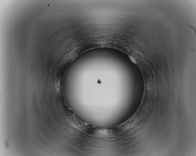 X0000097510611200802291620