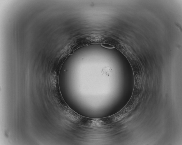 X0000097510612200802291620