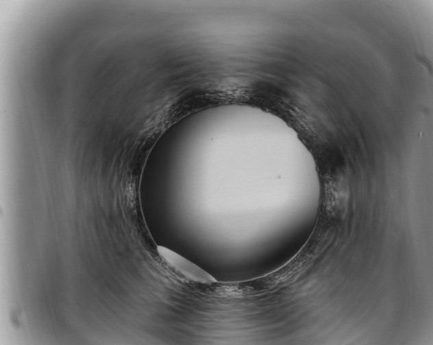 X0000097510613200802291620