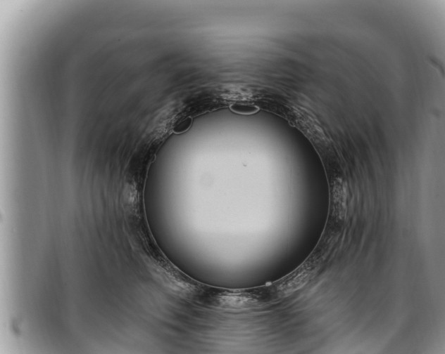 X0000097510614200802291620