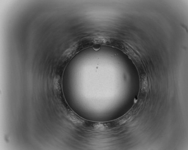 X0000097510616200802291620