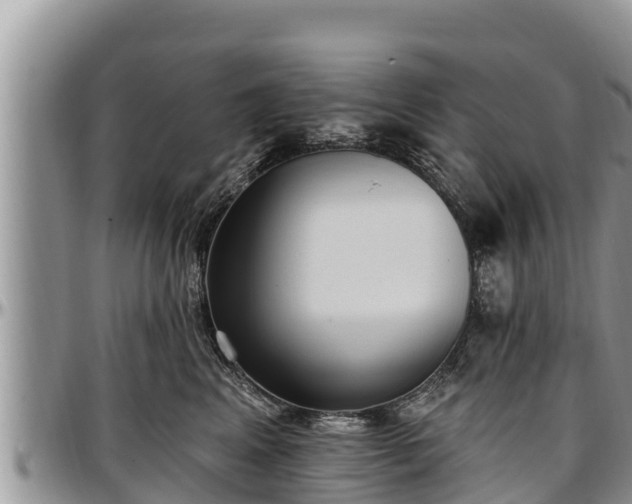 X0000097510617200802291620