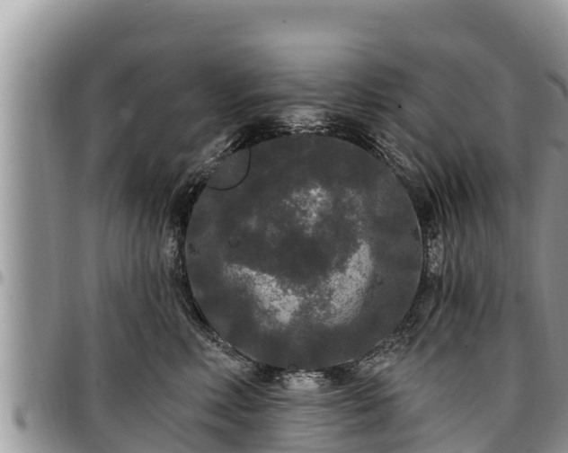 X0000097510618200802291620