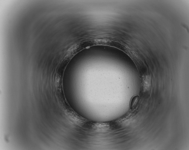 X0000097510619200802291620