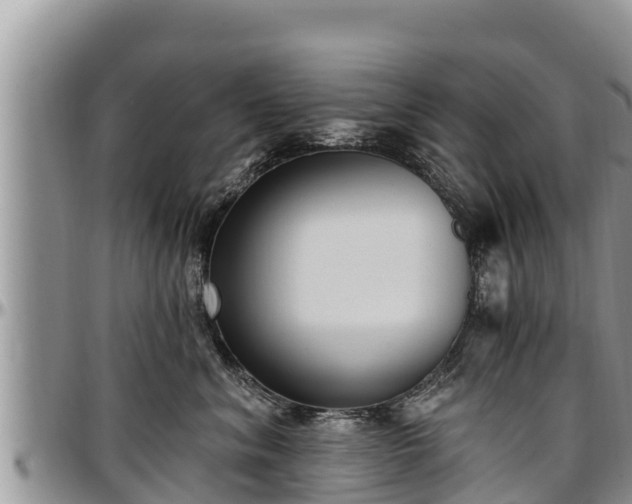 X0000097510620200802291620