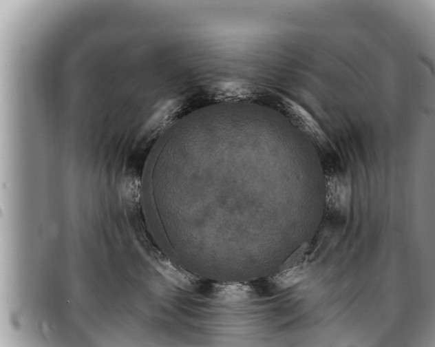 X0000097510621200802291620