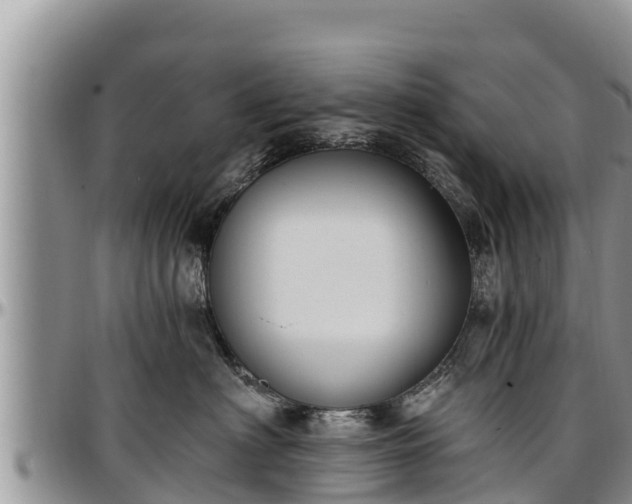 X0000097510622200802291620