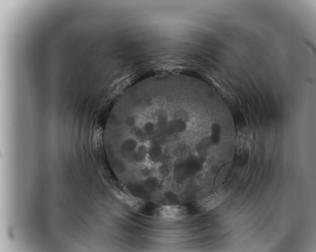 X0000097510623200802291620