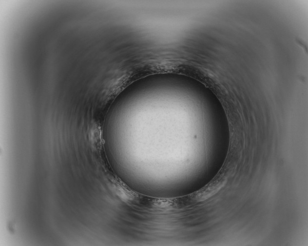 X0000097510624200802291620