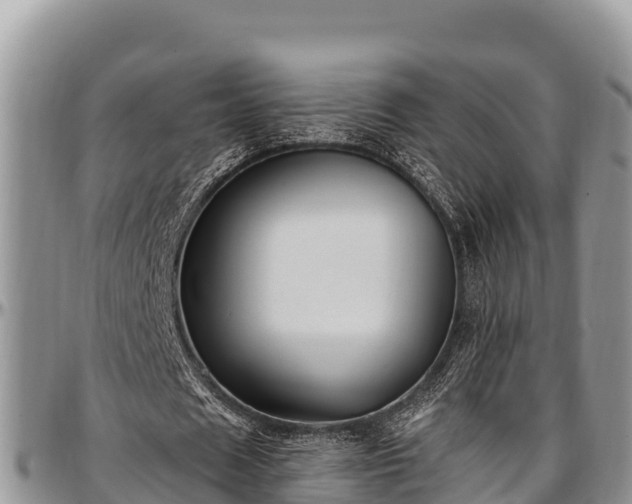 X0000097510625200802291619