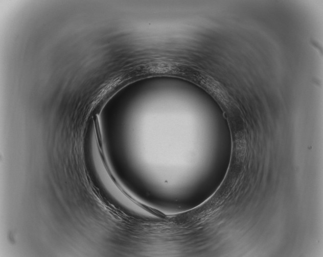 X0000097510626200802291619