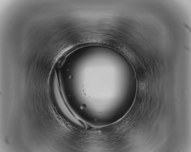 X0000097510628200802291619