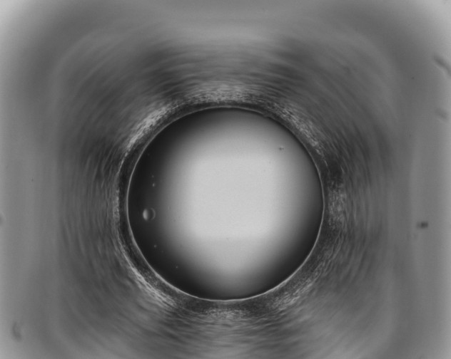 X0000097510629200802291619