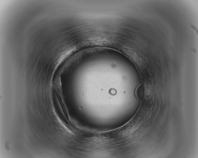 X0000097510630200802291619