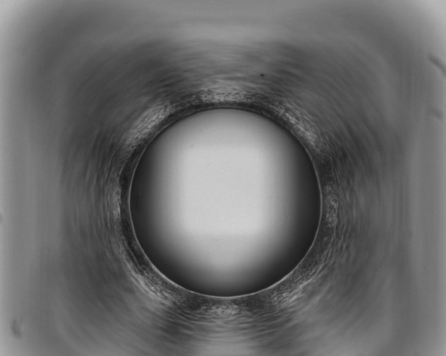 X0000097510631200802291619