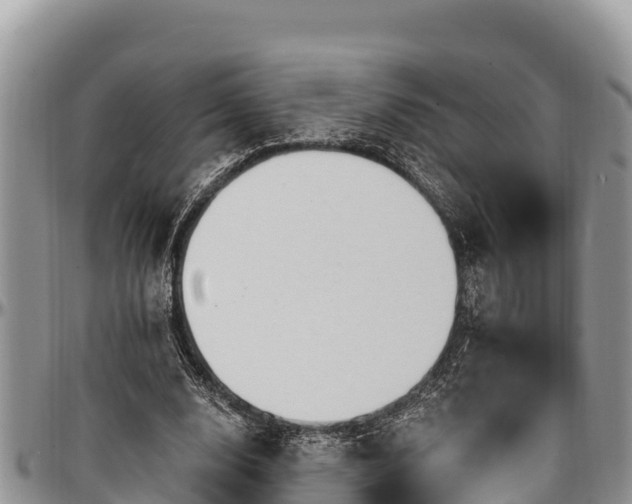 X0000097510632200802291619