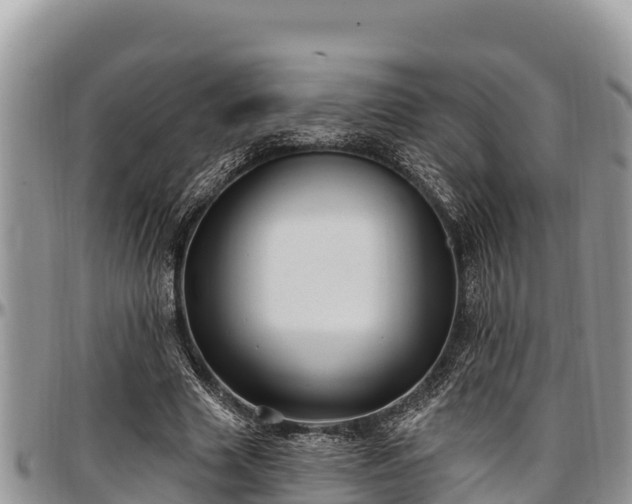 X0000097510633200802291619