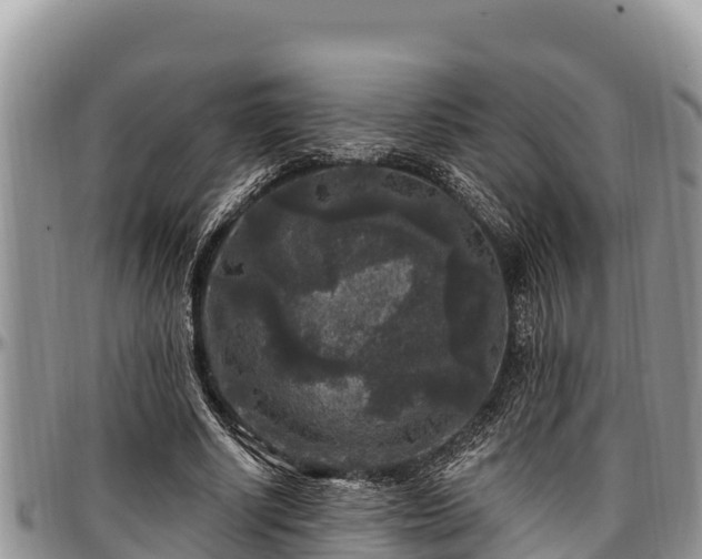 X0000097510634200802291619