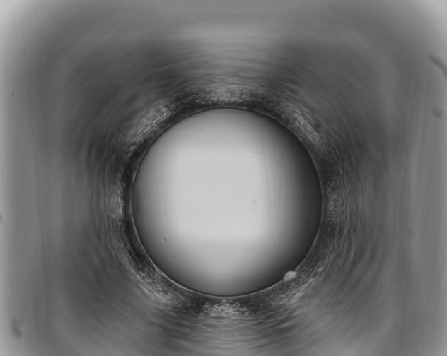 X0000097510635200802291619