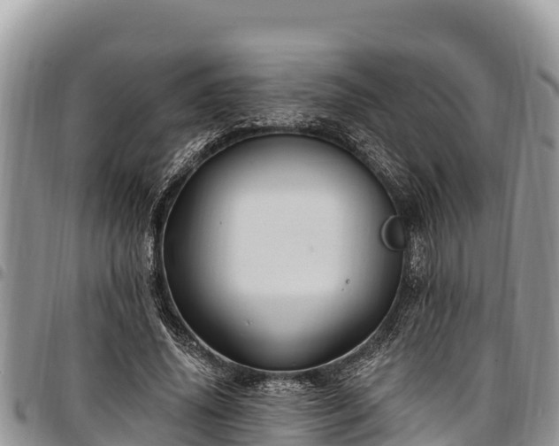 X0000097510636200802291619