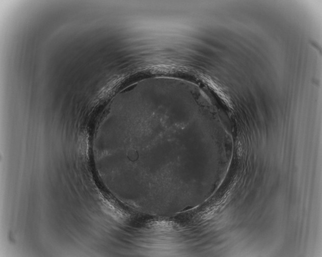 X0000097510637200802291619