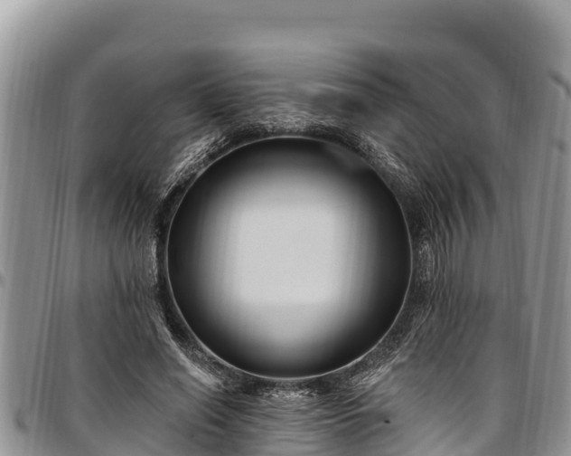 X0000097510638200802291619