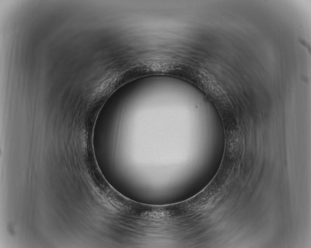 X0000097510639200802291619