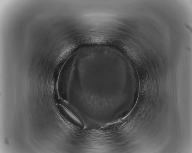 X0000097510640200802291619