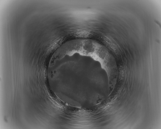 X0000097510641200802291619