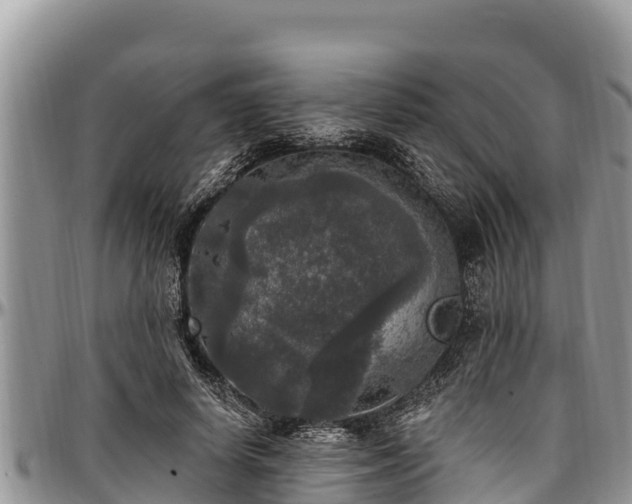 X0000097510642200802291619