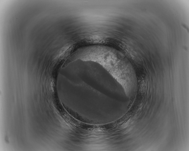 X0000097510643200802291619