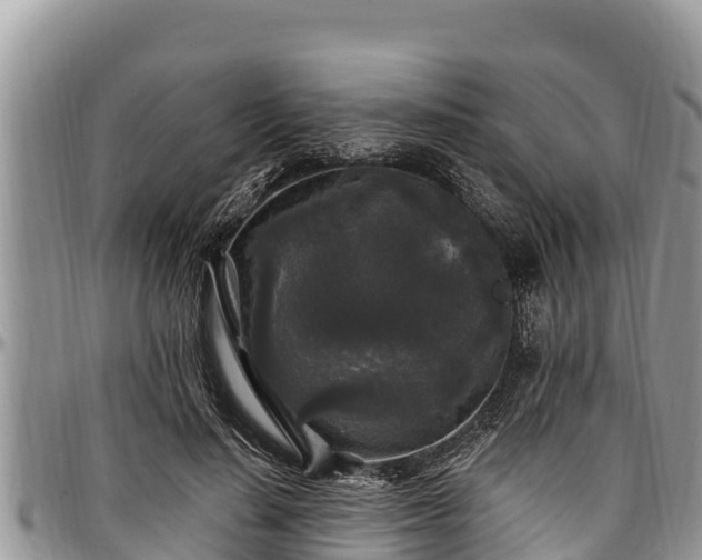 X0000097510644200802291619