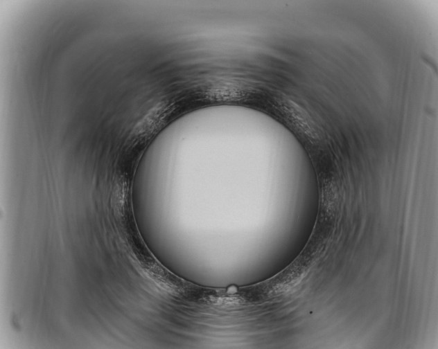 X0000097510645200802291619