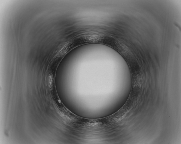 X0000097510646200802291619